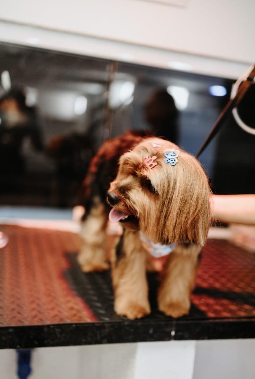 WhatsApp Image 2025-05-25 at 20.21.26.jpeg