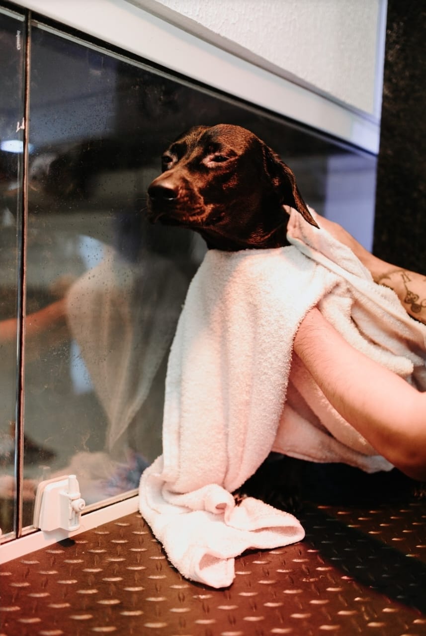 WhatsApp Image 2025-05-25 at 20.21.27.jpeg