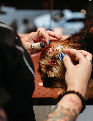 Captura de tela 2025-05-25 201048.png