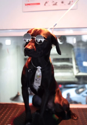 Captura de tela 2025-05-25 201235.png