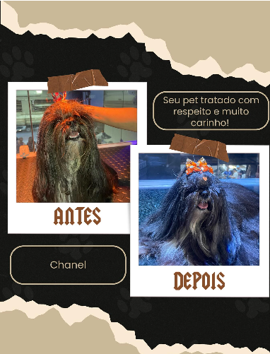 Captura de tela 2025-05-25 201200.png