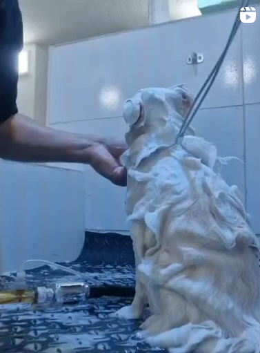 Captura de tela 2025-08-22 211448.png