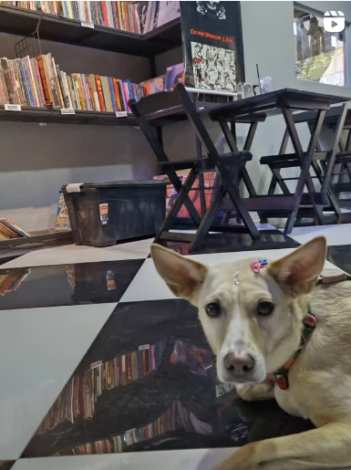 Captura de tela 2025-08-22 211332.png