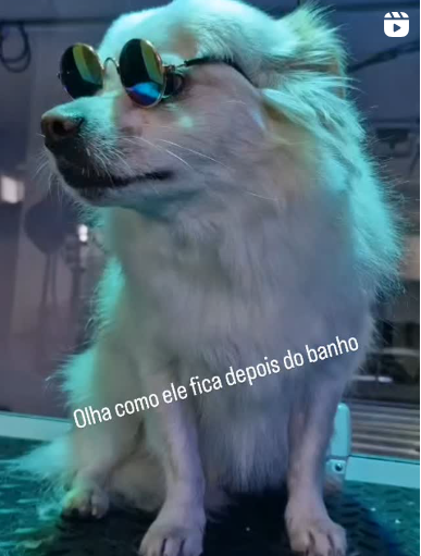 Captura de tela 2025-08-22 211506.png