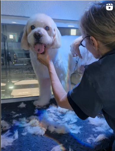 Captura de tela 2025-08-22 211005.png